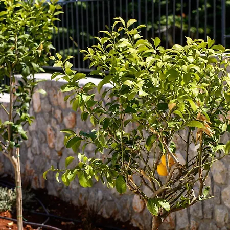 Ariste With Stunning Views Near Fiscardo * Katsaráta